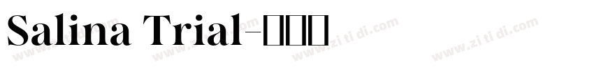 Salina Trial字体转换